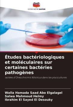 Cover Études bactériologiques et moléculaires sur certaines bactéries pathogènes