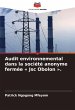 Audit environnemental dans la société... - Bild 1