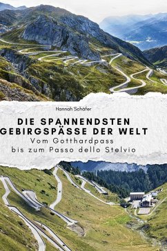 Die spannendsten Gebirgspässe der Welt - Schäfer, Hannah