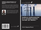 Auditoría medioambiental en la sociedad anónima cerrada 'Jsc Obolon'. Auditoría medioambiental en la sociedad anónima cerrada 'Jsc Obolon'.
