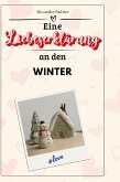 Eine Liebeserklärung an den Winter