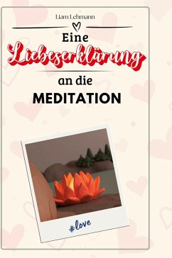 Eine Liebeserklärung an die Meditation - Lehmann, Liam