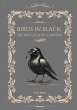 Birds in Black: Die Wächter des Gartens - Bild 1