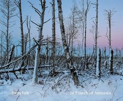 Cover In Search of Amnesia