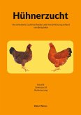 Hühnerzucht Hühnerzucht