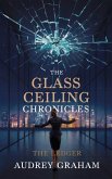 The Glass Ceiling Chronicles (eBook, ePUB)
