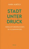 Stadt unter Druck (eBook, ePUB) Stadt unter Druck (eBook, ePUB)