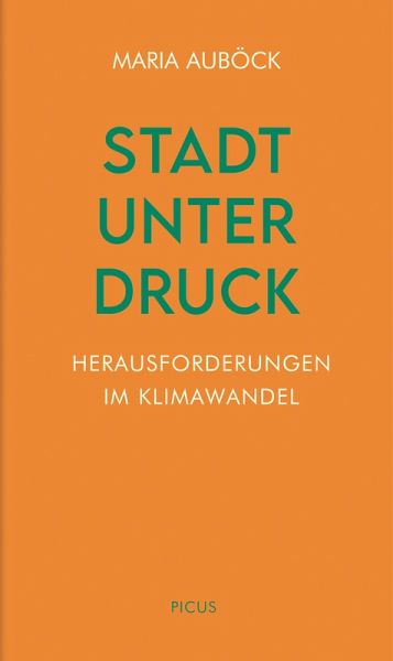Stadt unter Druck (eBook, ePUB) Stadt unter Druck (eBook, ePUB)