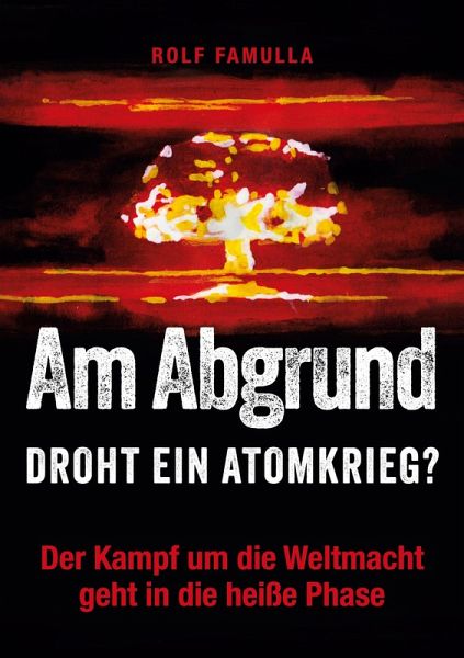 Am Abgrund (eBook, ePUB)