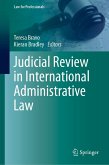 Judicial Review in International Administrative Law (eBook, PDF)