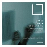 Jubel,Schein,Bedeutung - Violinsonaten Jubel,Schein,Bedeutung - Violinsonaten