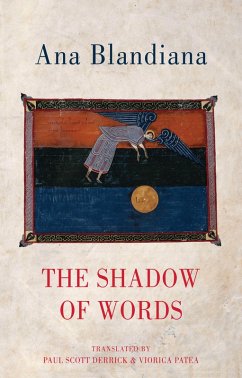 Cover The Shadow of Words (eBook, ePUB)