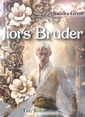 Jiors Brüder (eBook, ePUB) Jiors Brüder (eBook, ePUB)