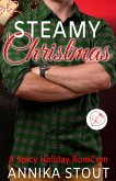 Steamy Christmas (eBook, ePUB)