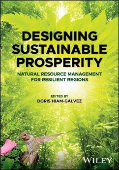 Cover Designing Sustainable Prosperity (eBook, ePUB)