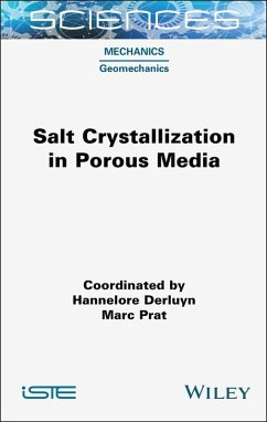 Cover Salt Crystallization in Porous Media (eBook, ePUB)