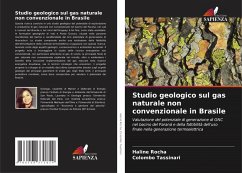 Cover Studio geologico sul gas naturale non convenzionale in Brasile