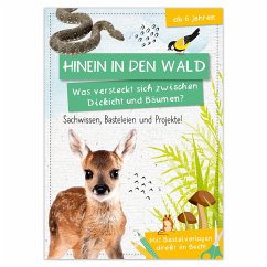 Cover Activity Heft: Hinein in den Wald - Was versteckt sich zwischen Dickicht und Bäumen?