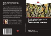Étude géologique sur le gaz naturel non conventionnel au Brésil Étude géologique sur le gaz naturel non conventionnel au Brésil