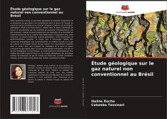 Étude géologique sur le gaz naturel non conventionnel au Brésil Cover Étude géologique sur le gaz naturel non conventionnel au Brésil