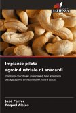 Impianto pilota agroindustriale di anacardi