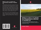 Efeito in vitro e in planta de Chromolaena odorata e Candida sp