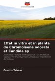 Effet in vitro et in planta de Chromolaena odorata et Candida sp