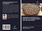 Pathogeen potentieel en beheer van zaadmycoflora van duivenerwten