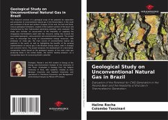 Cover Geological Study on Unconventional Natural Gas in Brazil