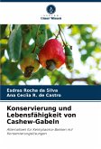 Konservierung und Lebensfähigkeit von Cashew-Gabeln Konservierung und Lebensfähigkeit von Cashew-Gabeln