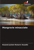 Mangrovie minacciate