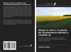 Cover Efecto in vitro e in planta de Chromolaena odorata y Candida sp