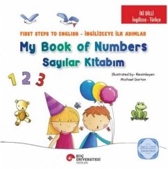 Cover My Book Of Numbers Sayilar Kitabim