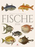 Fische Kalender 2026 Fische Kalender 2026