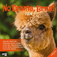 No Drama, Lama! Kalender 2026 - 30x30 - Ackermann Kunstverlag GmbH