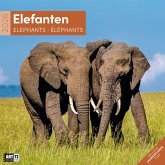 Elefanten Broschürenkalender 2026 - 30x30 - Art12 Elefanten Broschürenkalender 2026 - 30x30 - Art12