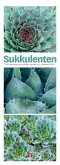Sukkulenten Triplet-Kalender 2026 Kakteen, Agaven & Co Sukkulenten Triplet-Kalender 2026 Kakteen, Agaven & Co
