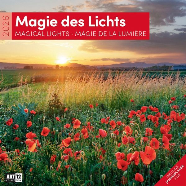Magie des Lichts Broschürenkalender 2026 - 30x30 - Art12 Magie des Lichts Broschürenkalender 2026 - 30x30 - Art12