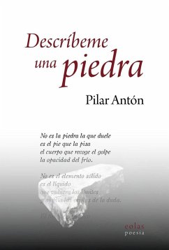 Cover Descríbeme una piedra