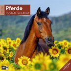 Pferde Broschürenkalender 2026 - 30x30 - Art12