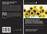 Egeria densa como sustrato nutritivo para girasoles ornamentales Egeria densa como sustrato nutritivo para girasoles ornamentales