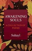 Awakening Souls Awakening Souls