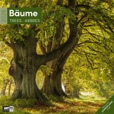 Bäume Broschürenkalender 2026 - 30x30 - Art12 Bäume Broschürenkalender 2026 - 30x30 - Art12