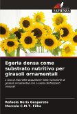 Egeria densa come substrato nutritivo per girasoli ornamentali Egeria densa come substrato nutritivo per girasoli ornamentali