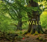 Wald Kalender 2026 Wald Kalender 2026