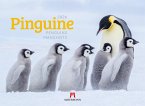Pinguine Kalender 2026