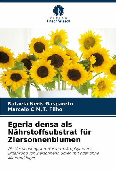 Egeria densa als Nährstoffsubstrat für Ziersonnenblumen