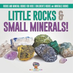 Cover Little Rocks & Small Minerals!   Rocks And Mineral Books for Kids   Children's Rocks & Minerals Books