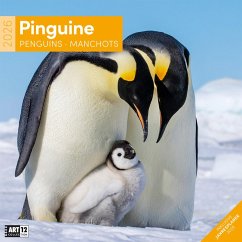 Pinguine Kalender 2026 - 30x30 - Ackermann Kunstverlag GmbH