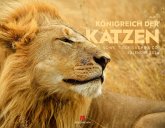Königreich der Katzen Kalender 2026 Löwe, Tiger, Luchs & Co Königreich der Katzen Kalender 2026 Löwe, Tiger, Luchs & Co